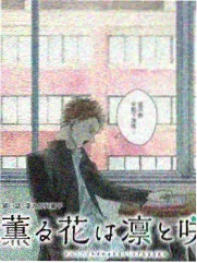 国产电影影评节目周末放映厅封面